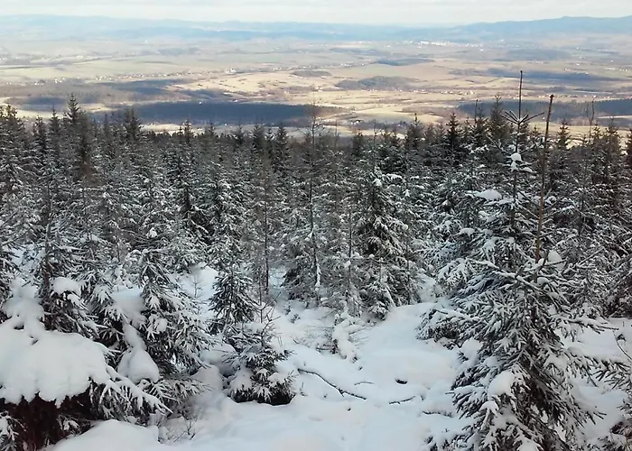 Sudecka Sienna (Klodzko)